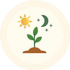 Plant growth cycles