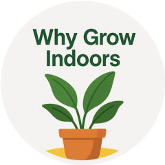 Why grow indoors