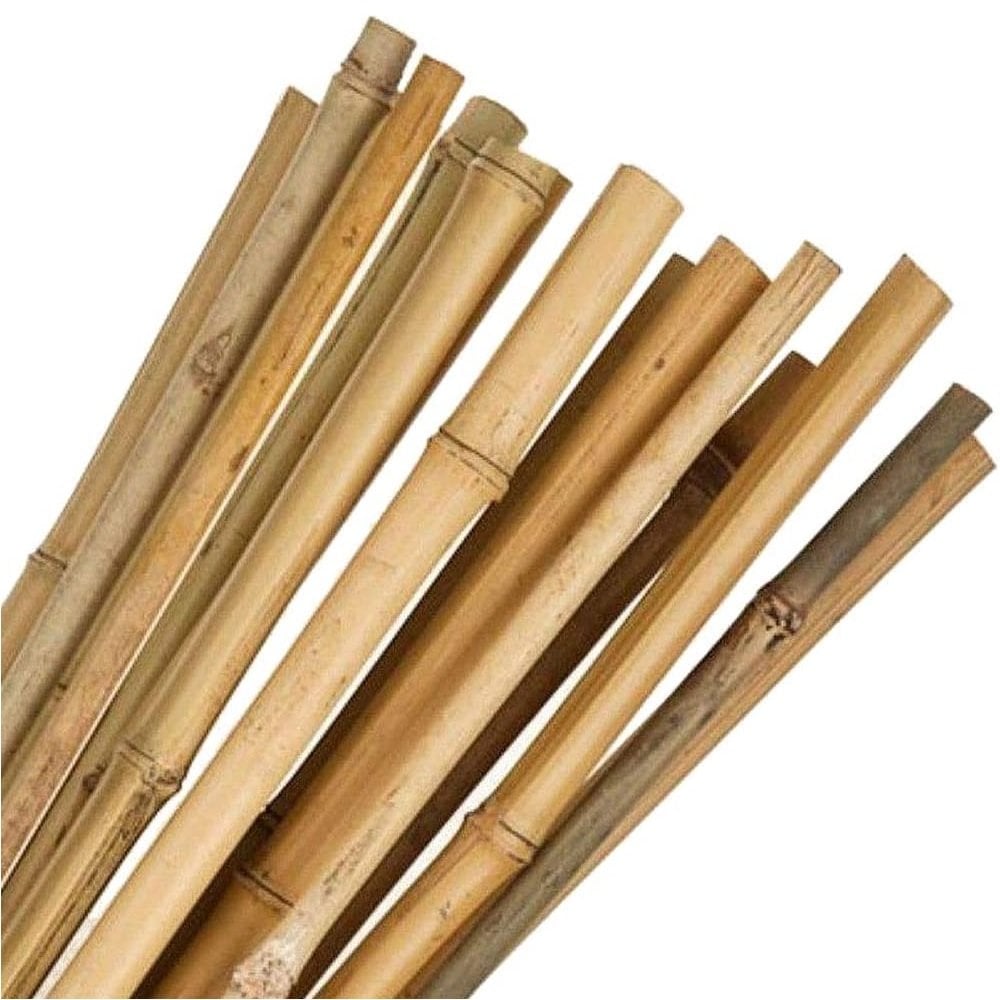 Bamboo Canes 5ft (150cm) – Greens Horticulture