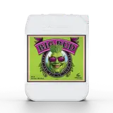 Advanced Nutrients - Big Bud – view 3
