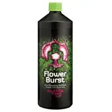 Buddhas Tree Flowerburst