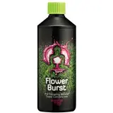 Buddhas Tree Flowerburst – view 4