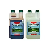 Canna Aqua – view 4