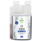 Ecothrive - Trace – view 2