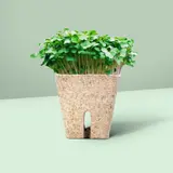 Jiffy Botanian - Peat Free Pots - 6cm – view 6