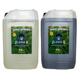 Monkey Bloom A & B – view 4