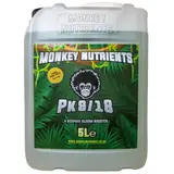 Monkey PK 9/18 – view 3