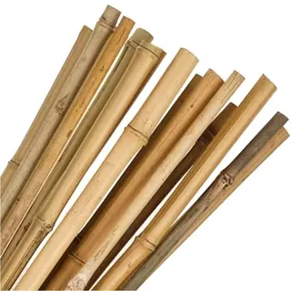 Bamboo Canes 5ft (150cm)