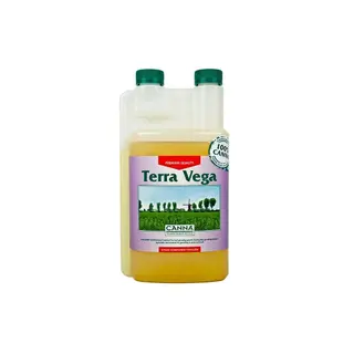 Canna Terra