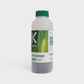 Koppert Chysopa - 500ml