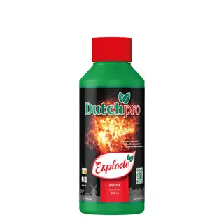 Dutchpro Explode