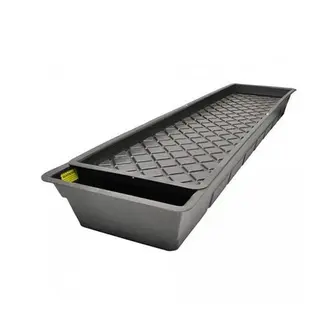 NutSystems GT901