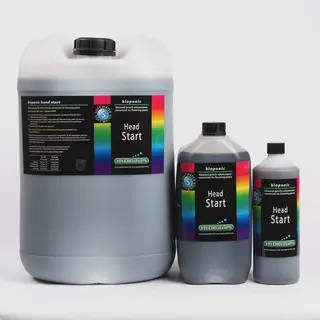 Hydrotops - Head Start