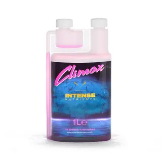 Intense Climax