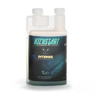 Intense Kickstart