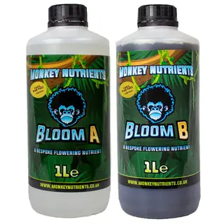 Monkey Bloom A & B