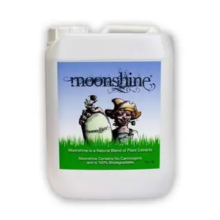 Moonshine
