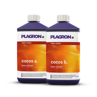 Plagron Coco