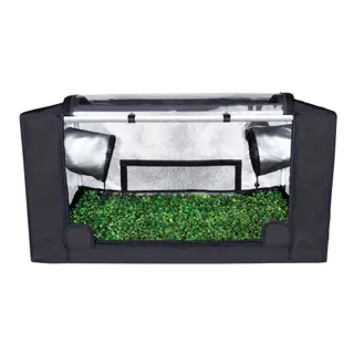 Garden HighPro Probox Propagator - Medium