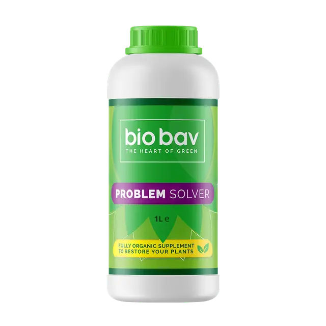 BioBav Problem Solver