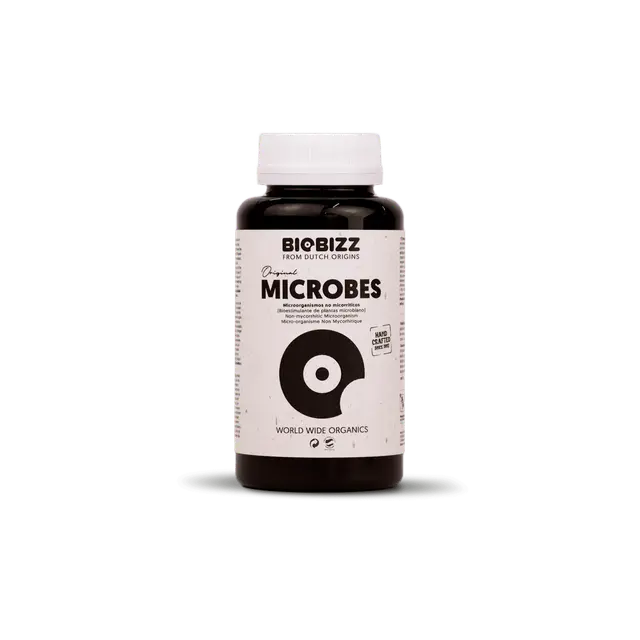 Biobizz Microbes