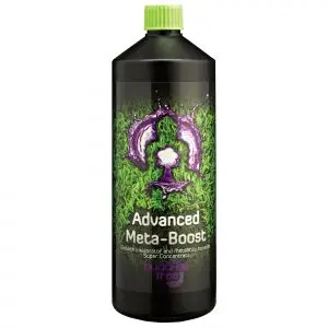 Buddhas Tree Advanced Meta-Boost