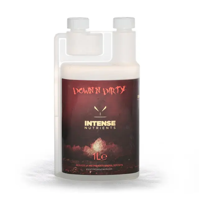 Intense Down N Dirty