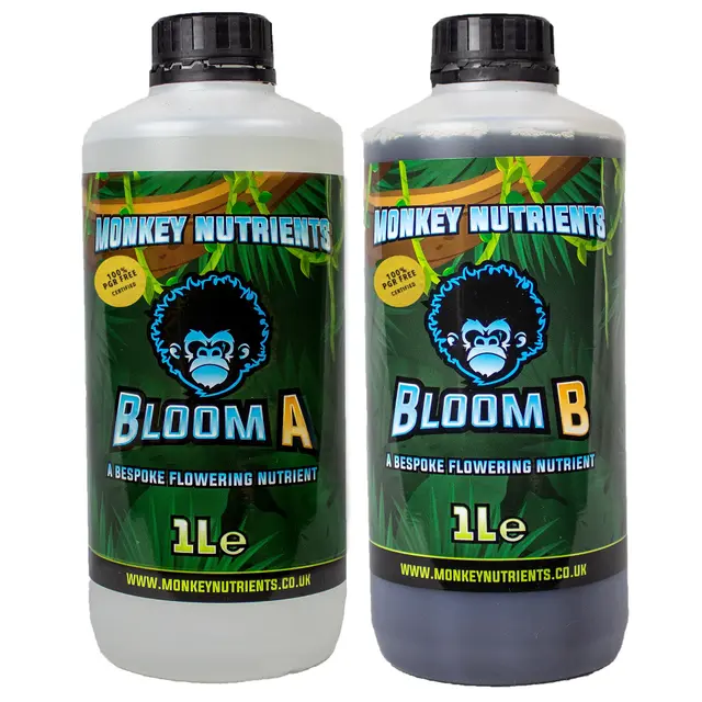 Monkey Bloom A & B