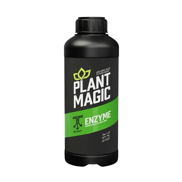 Plant Magic Enzyme