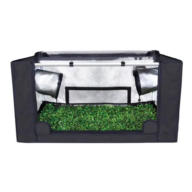 Garden HighPro Probox Propagator - Medium