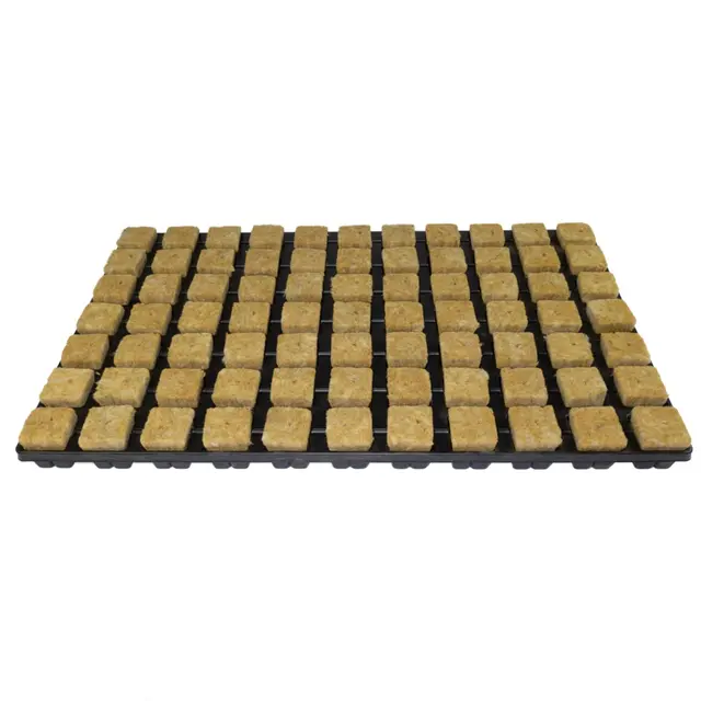 Cultilene Rockwool Propagation Cubes