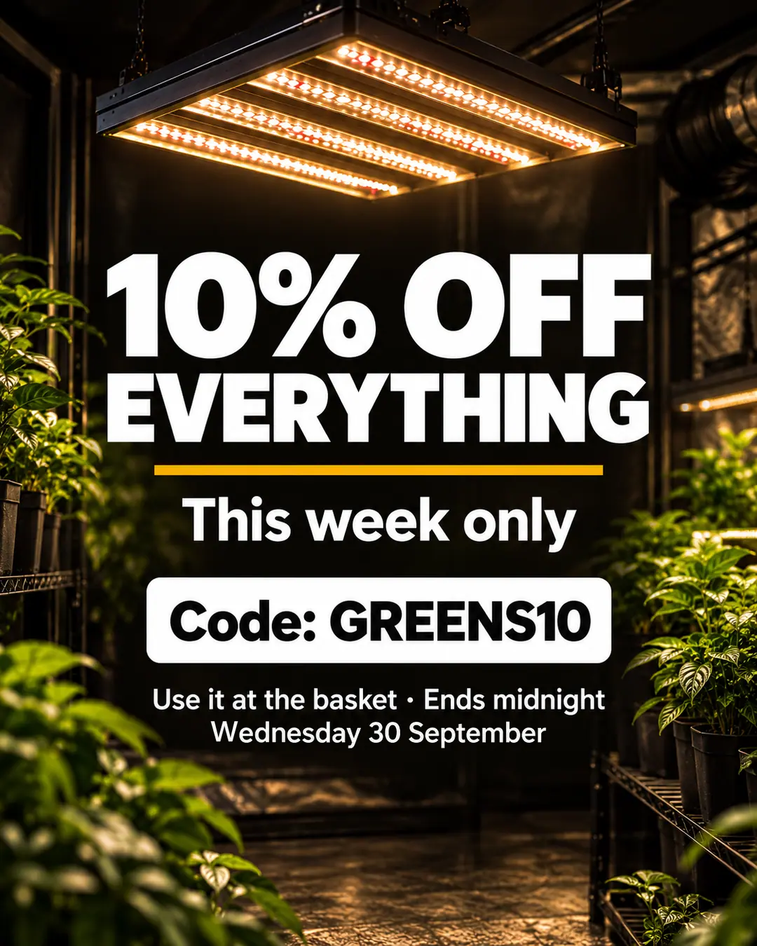 10% Off Everything